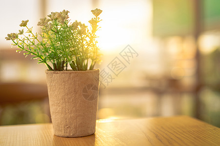 小花瓶里植物白花假花 在br上再生纸锅里放绿色叶子背景