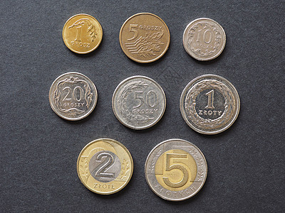 波兰波兰兹罗提硬币花费现金银行业货币抛光金融财富联盟商业投标图片