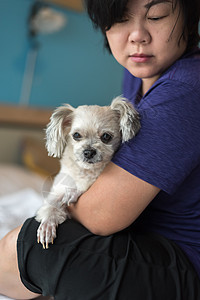 亚洲女人在卧室的床上抱着可爱的小狗安慰哺乳动物宠物犬类手势注意力动物朋友床罩闲暇图片