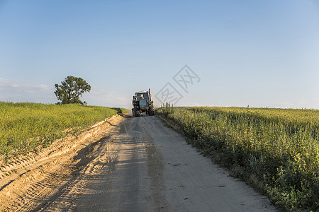 一辆蓝色拖拉机在小麦田的公路上行驶车辆天空农村收获植物推介会创造力展示农民工作图片