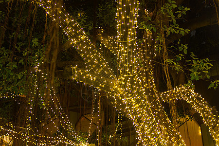 夜间节日季节 花园树上挂着装饰性户外串灯  装饰性圣诞灯背景假期灯泡庆典细绳派对黄色图片