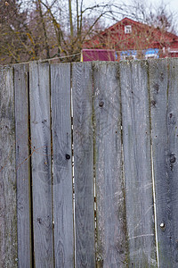 围绕未油漆的天板的园圃裂缝植物栅栏横杆花园控制板线条装饰风格乡村图片