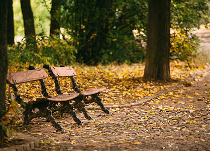 秋天公园的两张长椅 在河边 金色秋天植物橙子公园木头风景叶子森林花园太阳树木图片