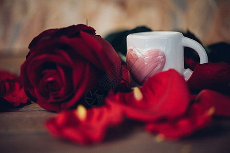 情人节木地板上的红玫瑰花女士女孩木头礼物假期植物叶子花园杯子桌子图片
