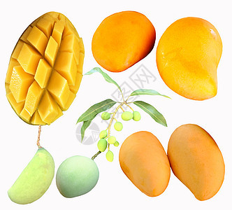一套成熟的芒果 黄色和绿色图片