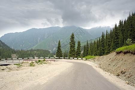 通往阿尔卑斯山的公路交通路线树木旅游汽车松树高地国家旅行村庄图片