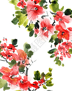 水彩花树绘画花序刷子邀请函植物花瓣艺术手工繁荣叶子图片