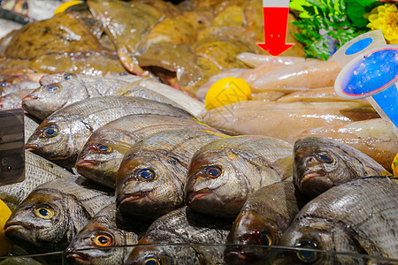 在法国市场上销售的鱼海鲜景观旅游摊位钓鱼店铺生产城市农民美食图片