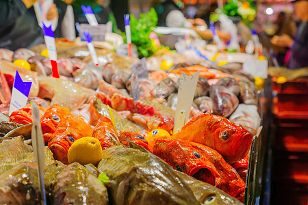 在法国市场上销售的鱼旅游摊位景观海鲜展示城市美食农民钓鱼食物图片