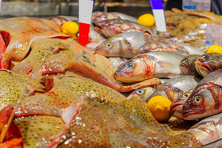 在法国市场上销售的鱼钓鱼生产农民城市旅行景观食物摊位海鲜店铺图片