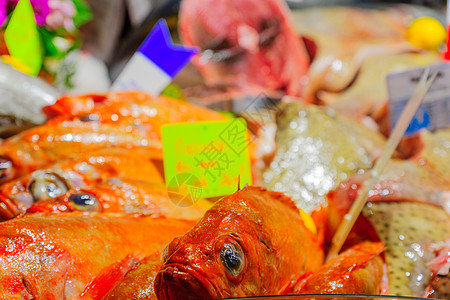 在法国市场上销售的鱼食物展示旅游摊位美食钓鱼农民店铺旅行城市图片