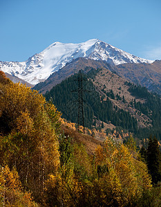 高压电线木头高地电压森林电气国家生态环境阳光建造图片