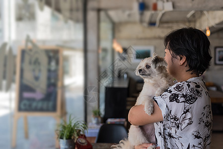 咖啡店咖啡厅的亚洲女人和狗玻璃友谊餐厅女性桌子哺乳动物闲暇美丽训练咖啡图片