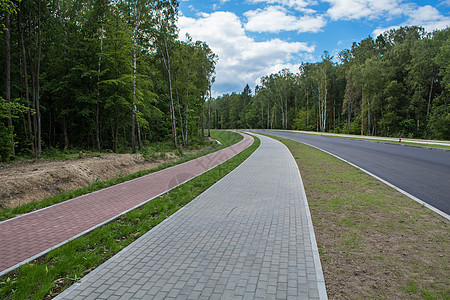 穿越森林的现代新道路运输交通木头太阳路线车道速度曲线林地假期图片