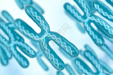 具有白色 background3d 渲染的染色体生物染色质插图显微镜基因科学生物学微生物学螺旋医学图片
