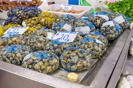 鱼市上新鲜的蛤蛤水产食物海洋市场壳类营养饮食养殖价格海鲜图片