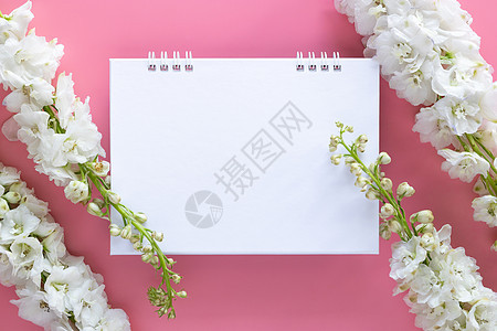 白纸桌螺旋日历 用粉红色背景上孤立的白色花朵装饰图片