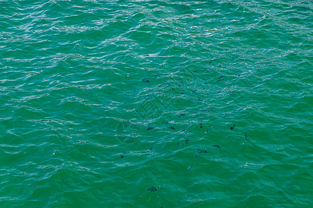 大海的形象是鲜绿色和蓝色艺术海浪墨水假期海滩梯度水彩天空墙纸旅行图片