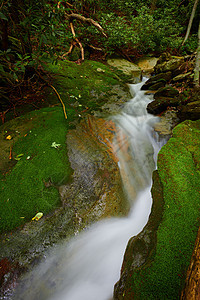 瀑布流经狭小的苔 覆盖岩石通道图片