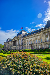比利时布鲁塞尔皇宫历史皇家王国正方形荷卢旅行经济建筑花园地标图片