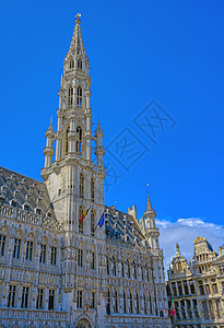 布鲁塞尔市政厅传统的哥特高清图片