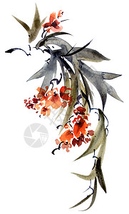 水彩花枝手绘植物树叶罪恶条款叶状插图艺术品热带丛林图片