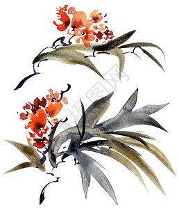 水彩花枝花园艺术花瓣叶子叶状条款刷子热带插图手绘图片