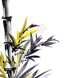 含叶子的水色竹竹绘画手绘丛林罪恶艺术草地艺术品插图水彩树叶图片