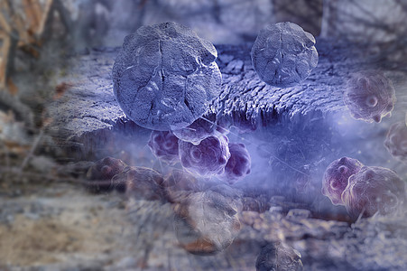 数字3d人体癌细胞数字图解癌症疾病药品宏观感染细菌医疗解剖学科学细胞图片