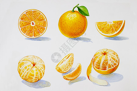 绘画夏季橙色收藏享受三角形纹理水彩手绘柠檬明信片横幅插图图片