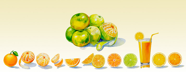 绘画夏季橙色圆圈水彩广告菜单早餐插图小册子销售果汁艺术图片