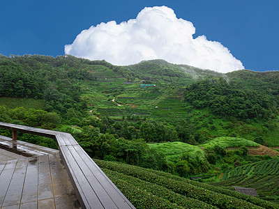 观看茶普兰塔美丽风景的湿木制阳台图片