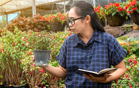 在温室工作的亚洲园丁妇女的肖像 用笔记本检查农场上种植的花朵和温室中的病虫害肥料微笑花园女士植物群女性享受生长园艺花店图片