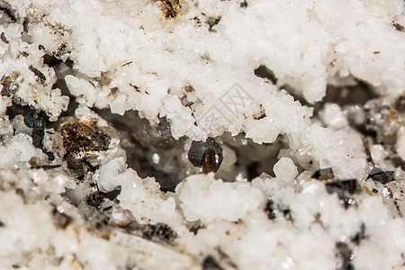 石英岩石上的阿纳塔斯和溪水岩氧化物地质学氧化钛白色棕色岩石水晶矿物质矿物学石头图片