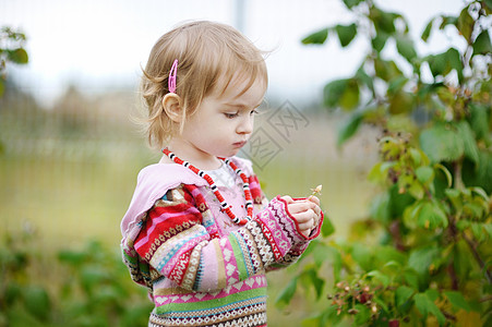 可爱的小孩女孩 采草莓乐趣食物童年收成叶子孩子女孩荒野覆盆子快乐图片