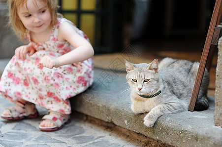 可爱快乐的小女孩和猫裙子孩子女性童年院子动物享受女孩眼睛喜悦图片