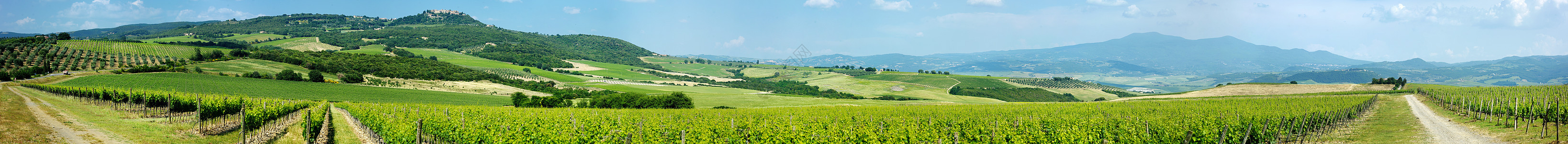 意大利美丽的葡萄酒田 意大利图片