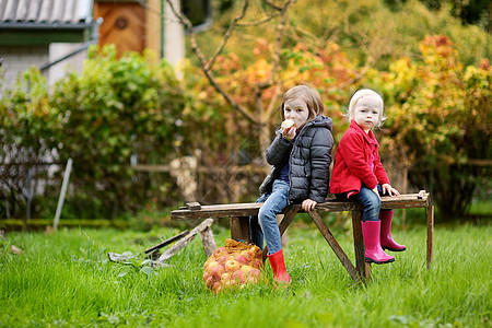 秋天两个姐妹坐在木板凳上幸福公园季节朋友们乐趣姐姐孩子孩子们兄弟生态图片