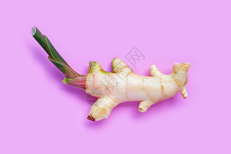 粉红背景的新青春烹饪生长植物美食蔬菜疾病食物市场香料腹痛图片