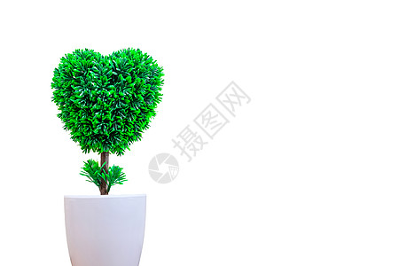 心形树植物学装饰植物群塑料生态文化花瓶白色盆栽风格图片