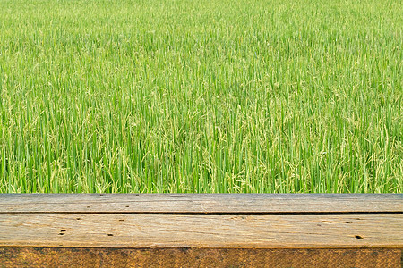 木架子和绿色稻田背景图片