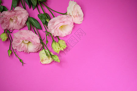 粉色利西安图斯花花瓣玫瑰花园花朵植物花束庆典植物群图片