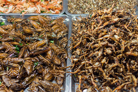 各种种类的炒虫文化街道小吃情调幼虫油炸叶子臭虫蟋蟀产品图片