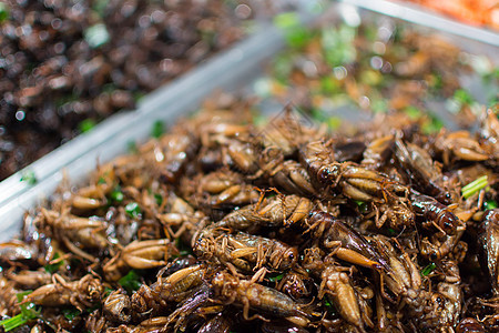 各种种类的炒虫美食动物异国街道蟋蟀盘子叶子情调文化营养图片