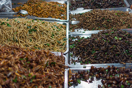 各种种类的炒虫文化美食情调油炸蟋蟀昆虫街道市场食物漏洞图片