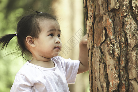 亚洲女童在花园研究环境时 探索松树种植方式 在园艺中喜悦乐趣快乐女孩女性森林树干公园教育童年图片