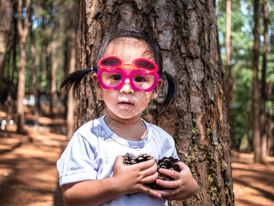 穿着白色T恤的亚洲小滑稽女孩在自然背景上玩松果 游戏是在儿童身上学习的姐姐家庭松树眼镜快乐乐趣女孩公园花园童年图片