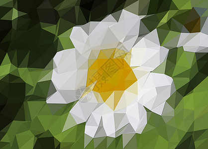低多边形 3D 插图 五颜六色的花朵在农村 landsc设计三角形植物装饰品玫瑰热带百合马赛克海报植物学图片