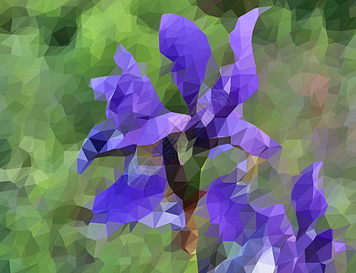 低多边形 3D 插图 五颜六色的花朵在农村 landsc海报热带植物学马赛克植物图形元素植物群百合装饰品图片