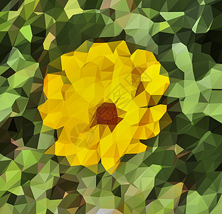 低多边形 3D 插图 五颜六色的花朵在农村 landsc植物群图形植物学艺术三角形海报标识元素植物玫瑰图片